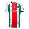 Club Deportivo Palestino 2020 Home