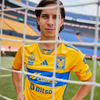 Tigres UANL 23/24 Home Player Issue Jersey