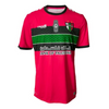 Club Deportivo Palestino 2022 GK